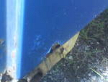 Attached Image