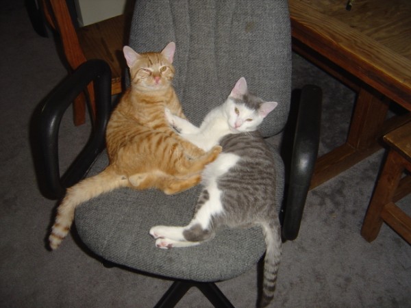 Attached Image