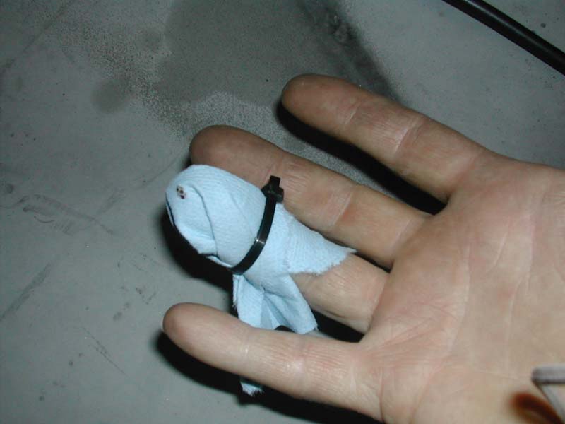 Attached Image