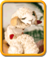 Attached Image