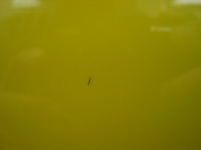 Attached Image