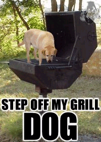 Attached Image