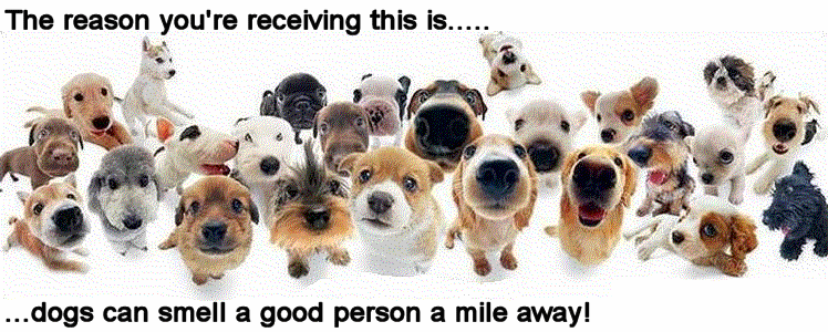 Attached Image