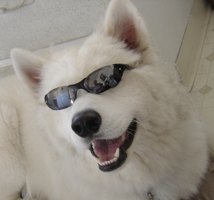Attached Image