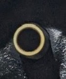 Attached Image