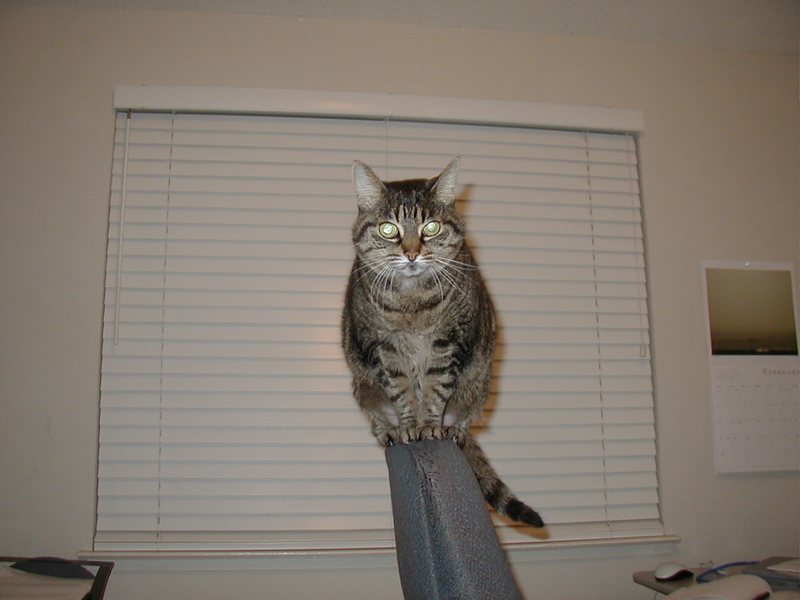 Attached Image