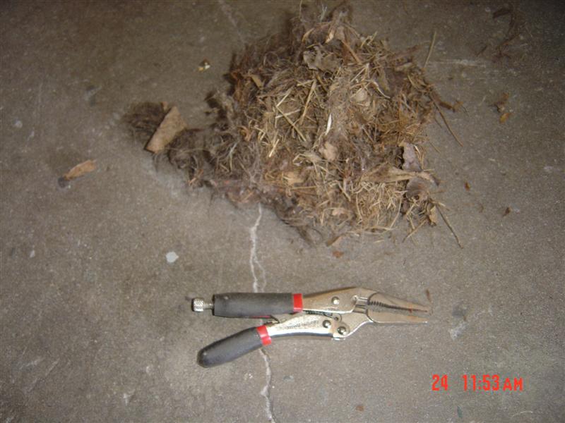 Attached Image