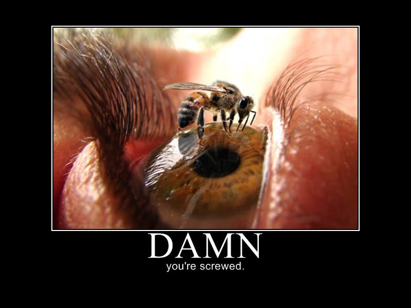 Attached Image