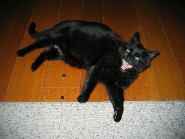 Attached Image