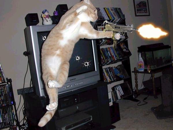 Attached Image